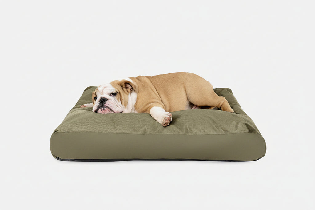 Dog Bed | Rectangle Shape, Durable Ripstop Fabric 12