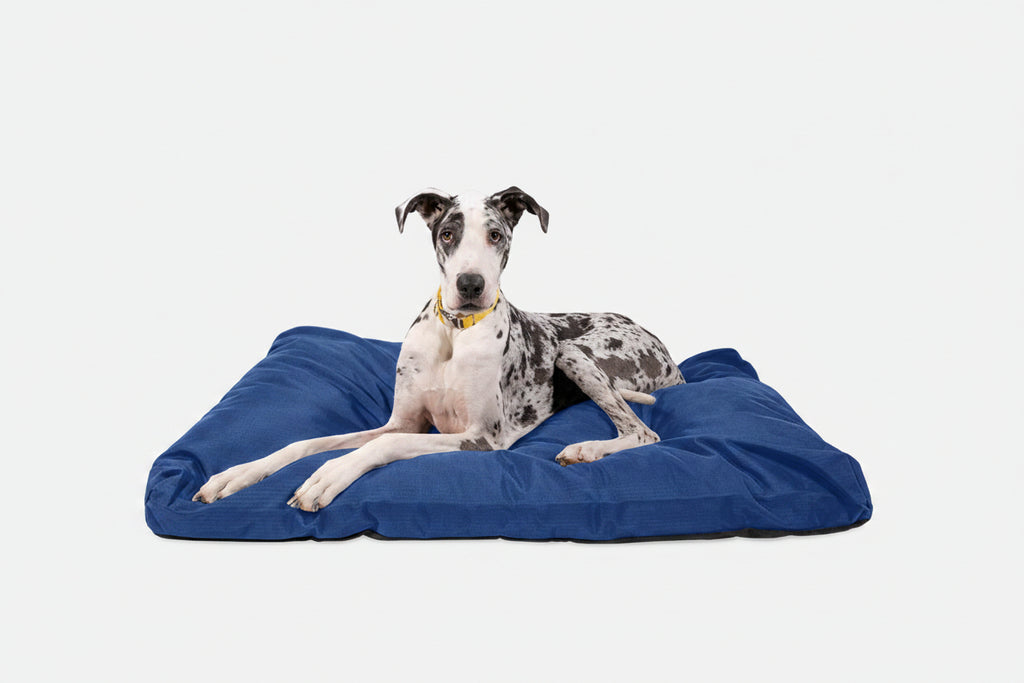 Dog Bed | Rectangle Shape, Durable Ripstop Fabric 14