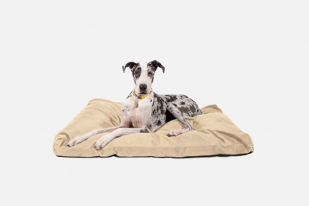 Dog Bed | Rectangle Shape, Durable Ripstop Fabric 17