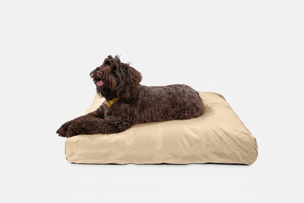 Dog Bed | Rectangle Shape, Durable Ripstop Fabric 18