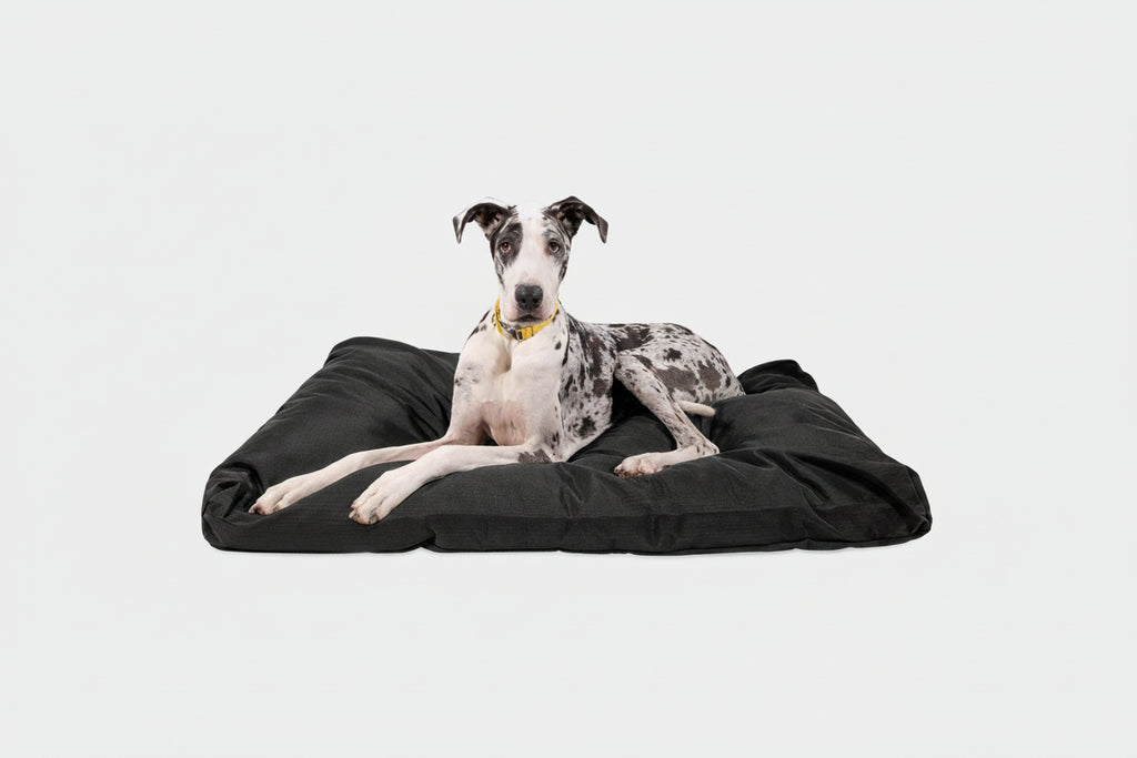 Dog Bed | Rectangle Shape, Durable Ripstop Fabric 19