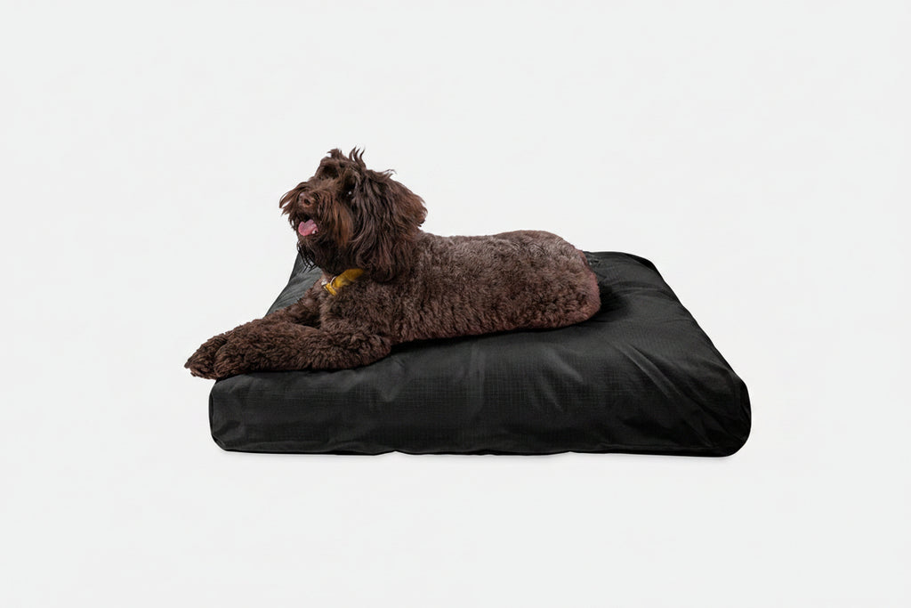 Dog Bed | Rectangle Shape, Durable Ripstop Fabric 20