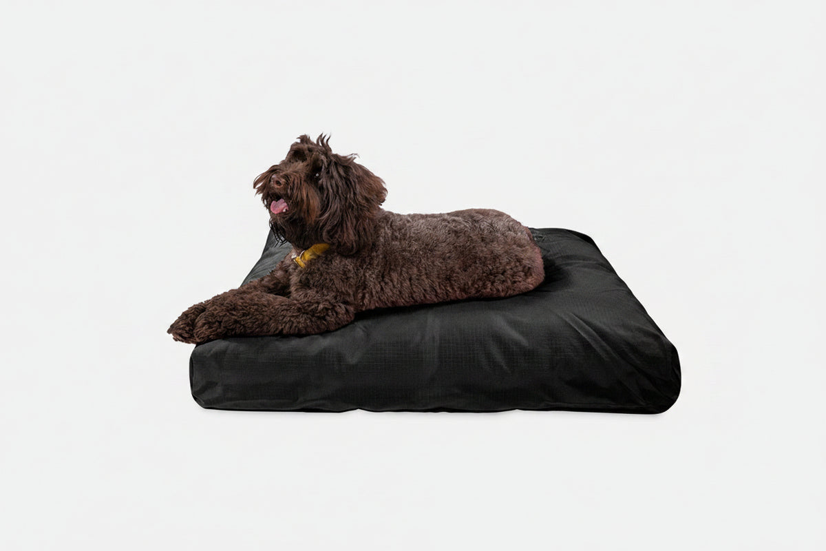 Dog Bed | Rectangle Shape, Durable Ripstop Fabric 20