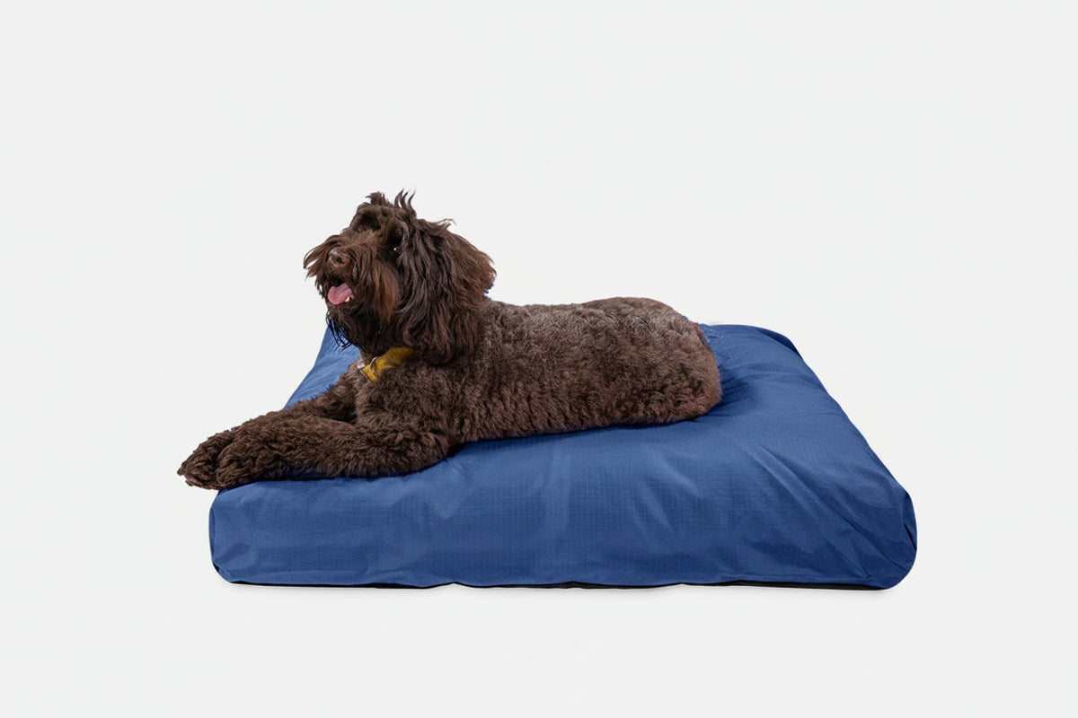 Dog Bed | Rectangle Shape, Durable Ripstop Fabric 21