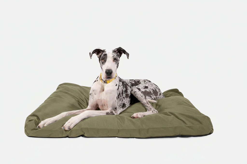Dog Bed | Rectangle Shape, Durable Ripstop Fabric 22