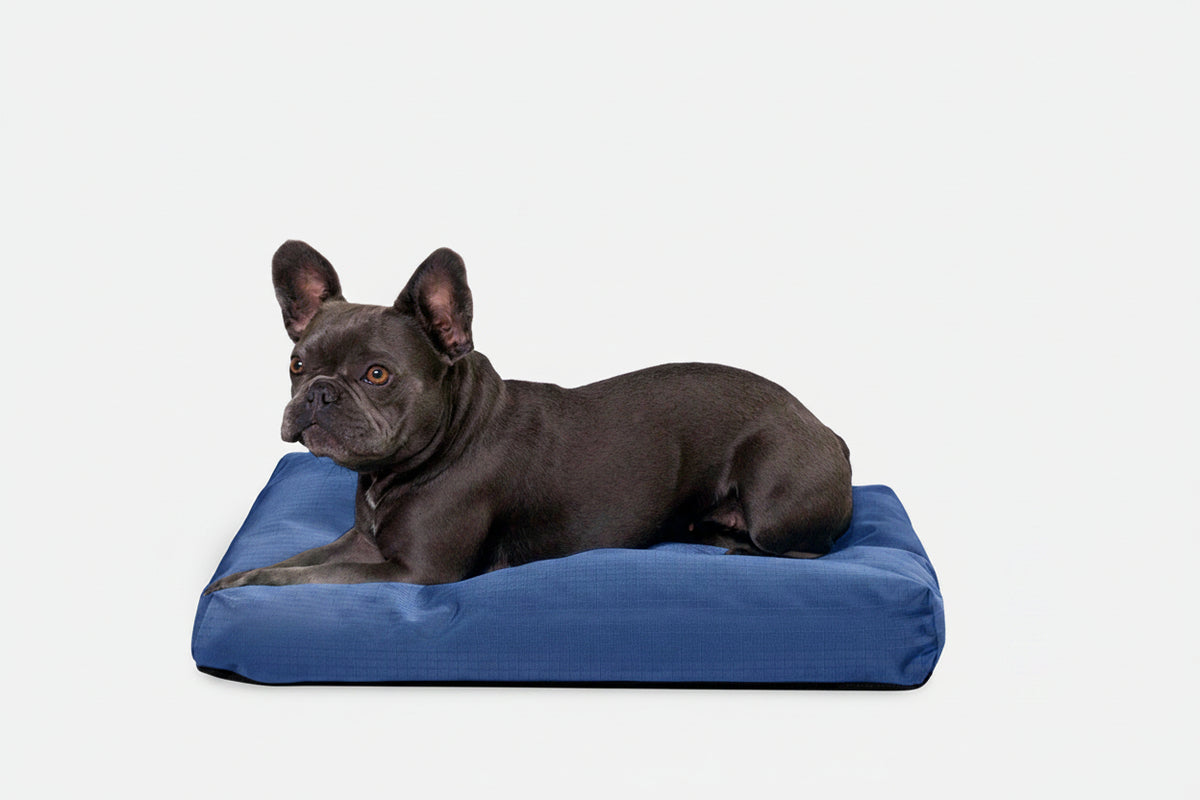 Dog Bed | Rectangle Shape, Durable Ripstop Fabric 4