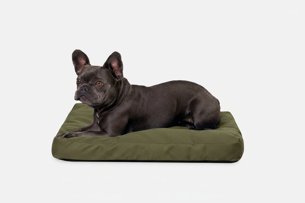Dog Bed | Rectangle Shape, Durable Ripstop Fabric 5