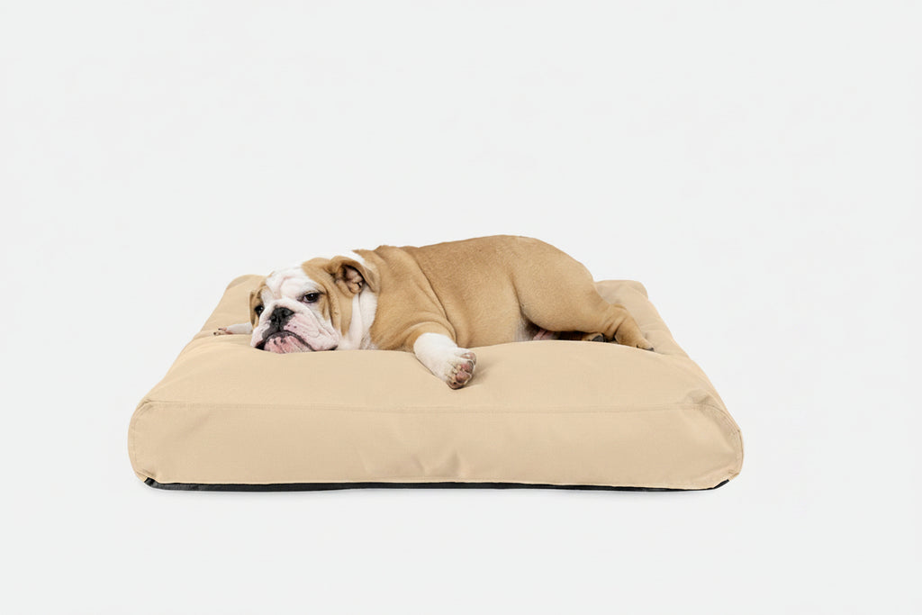 Dog Bed | Rectangle Shape, Durable Ripstop Fabric 7