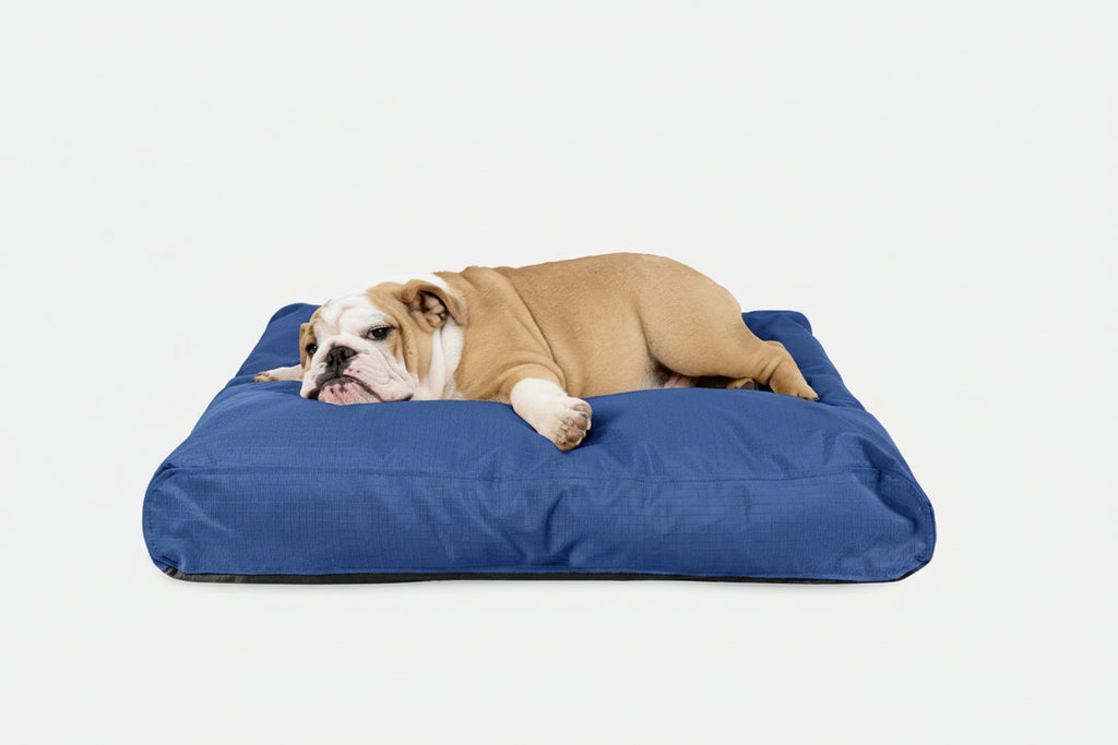 Dog Bed | Rectangle Shape, Durable Ripstop Fabric 8