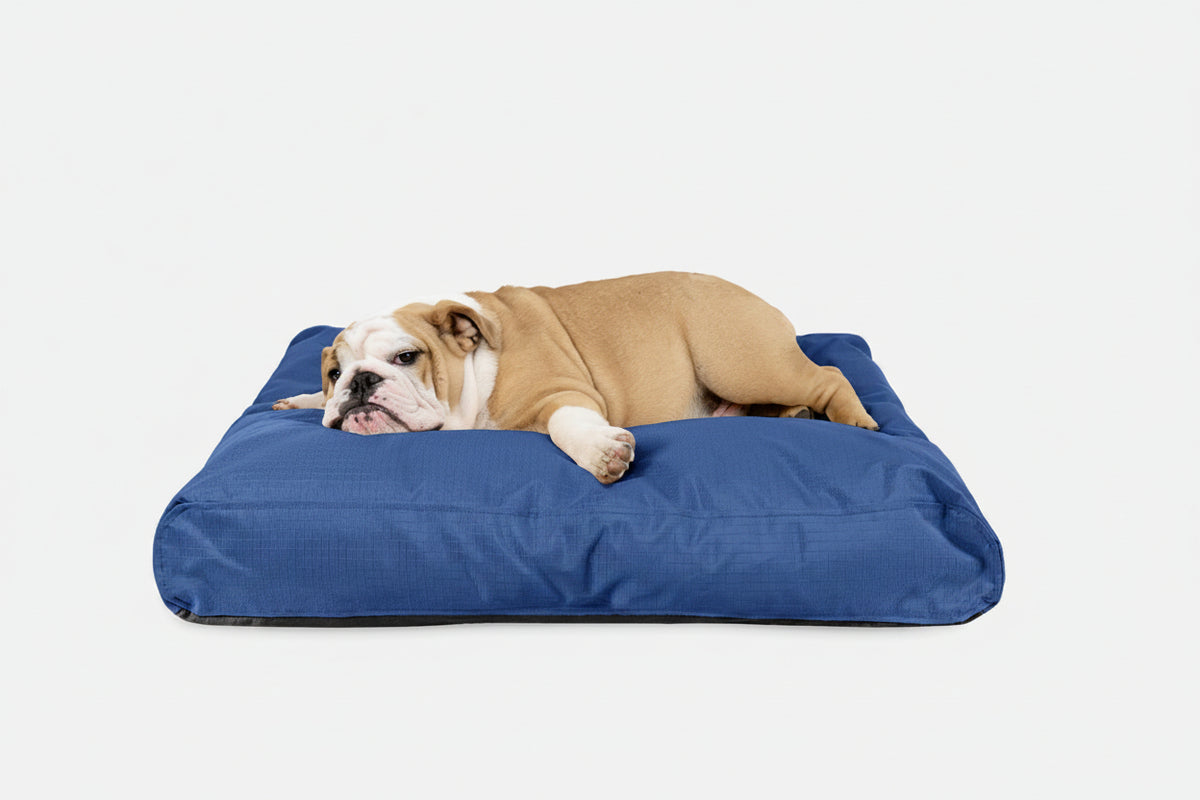 Dog Bed | Rectangle Shape, Durable Ripstop Fabric 8