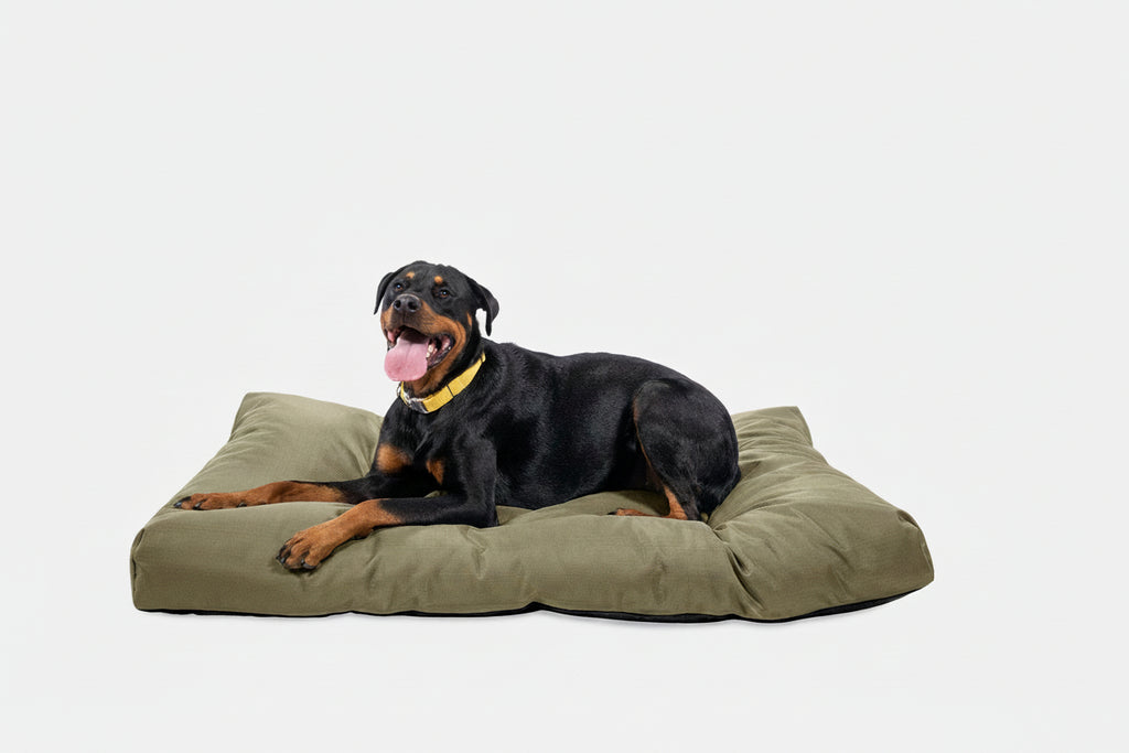 Dog Bed | Rectangle Shape, Durable Ripstop Fabric 9