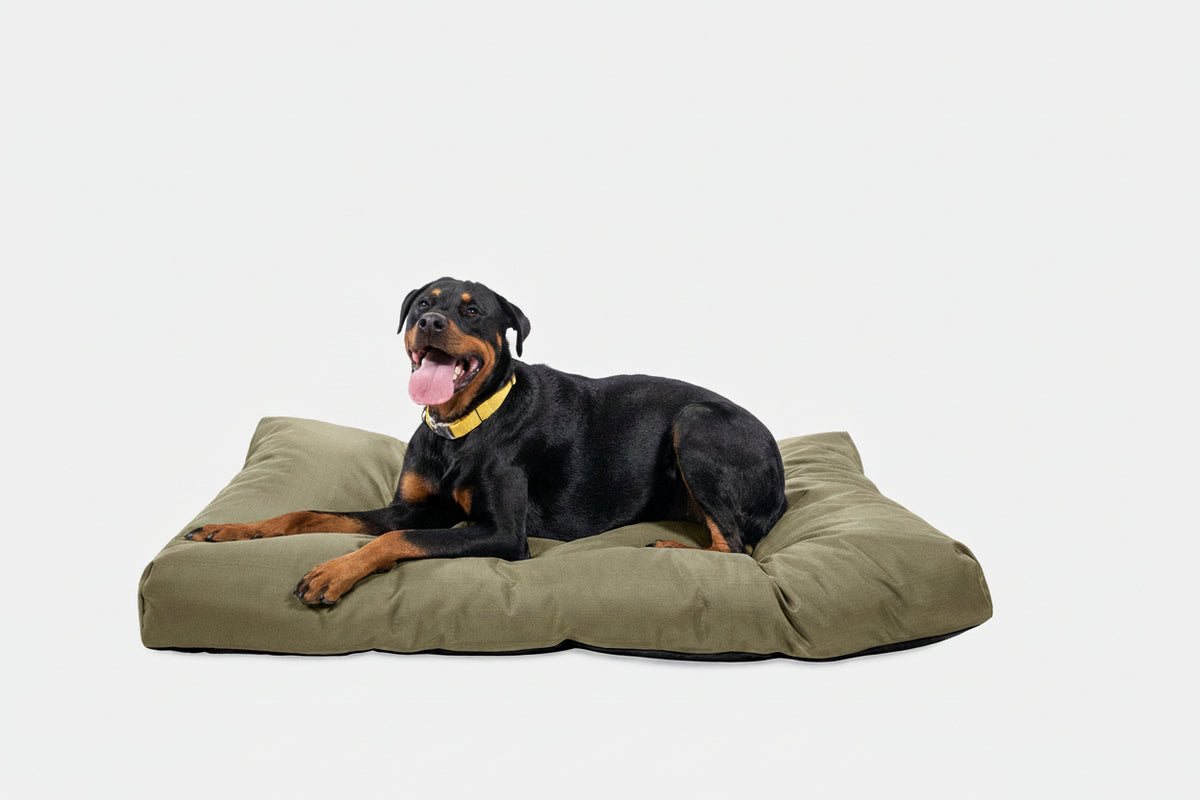 Dog Bed | Rectangle Shape, Durable Ripstop Fabric 9