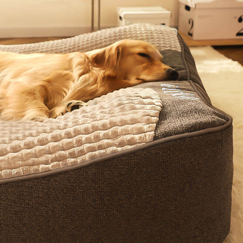 Dog Bed | Thick Orthopedic Padding, Anti-Slip Base 2