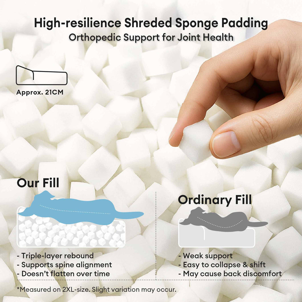 Dog Bed | Thick Orthopedic Padding, Anti-Slip Base 3