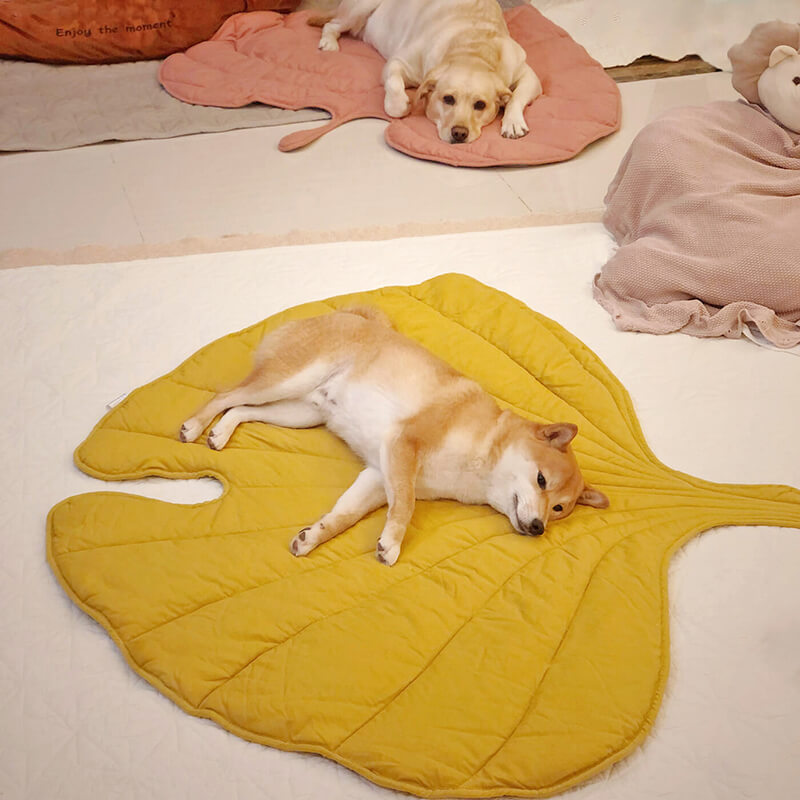Dog Blanket | Leaf Shape, Cotton Polyester Blend 0