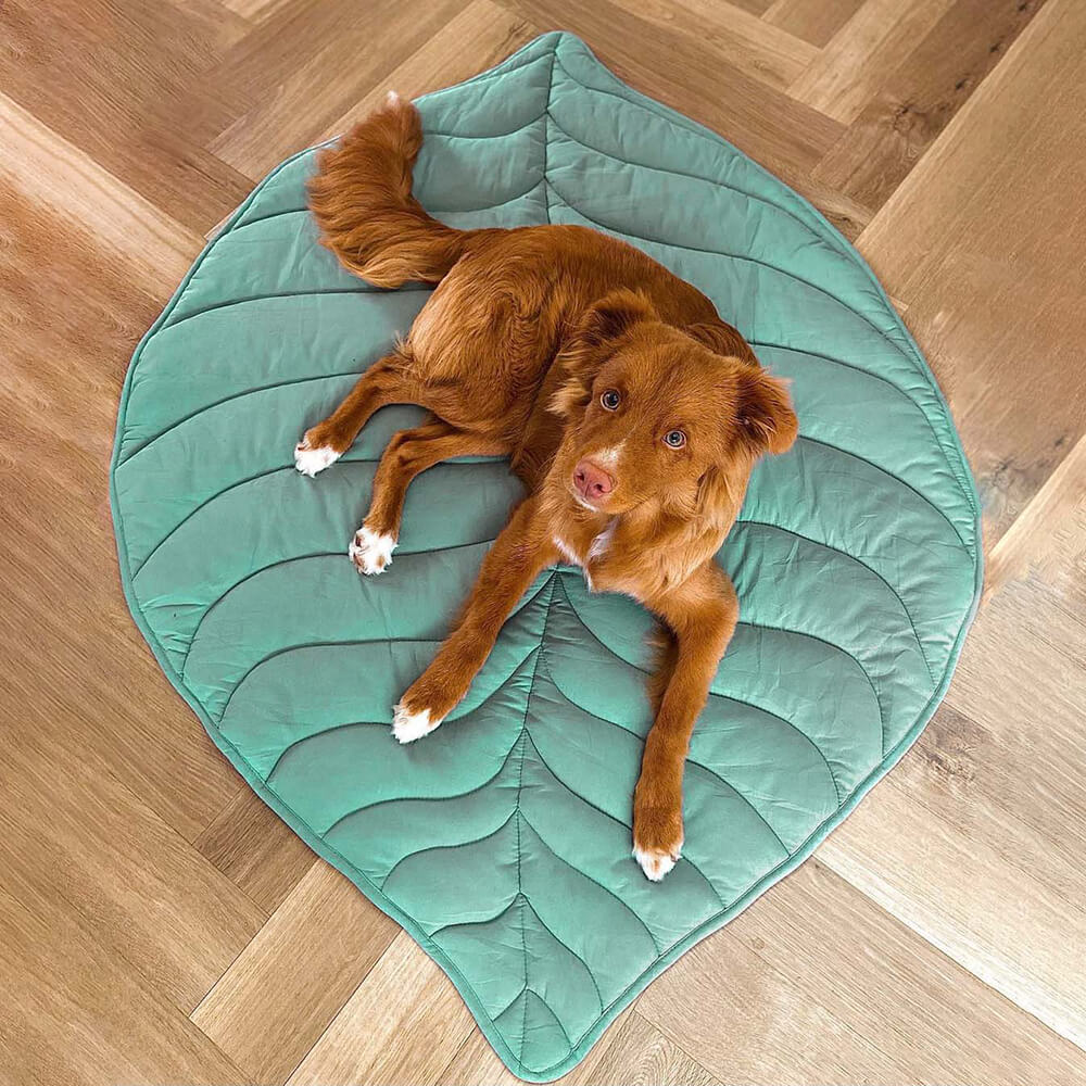 Dog Blanket | Leaf Shape, Cotton Polyester Blend 10
