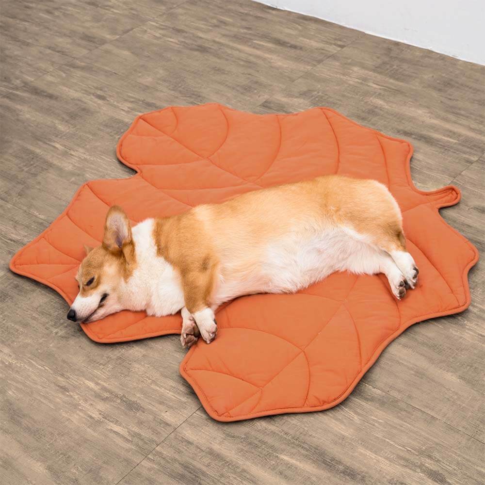 Dog Blanket | Leaf Shape, Cotton Polyester Blend 6