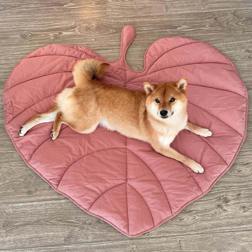 Dog Blanket | Leaf Shape, Cotton Polyester Blend 7