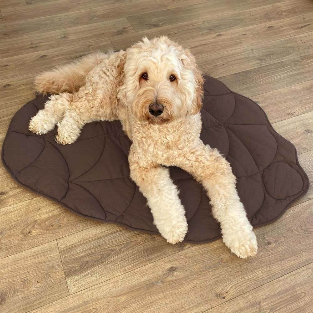 Dog Blanket | Leaf Shape, Cotton Polyester Blend 8
