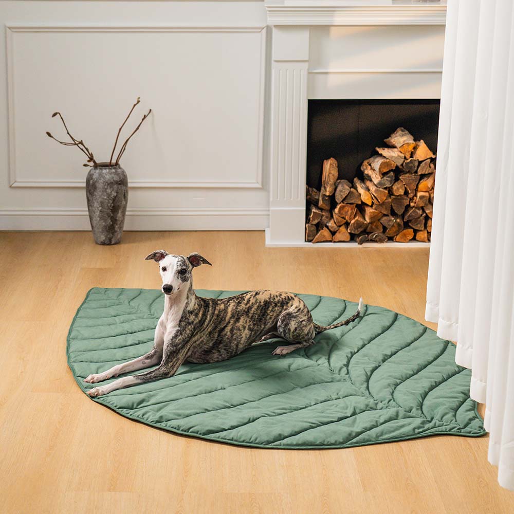 Dog Blanket | Leaf Shape, Cotton Polyester Blend 9