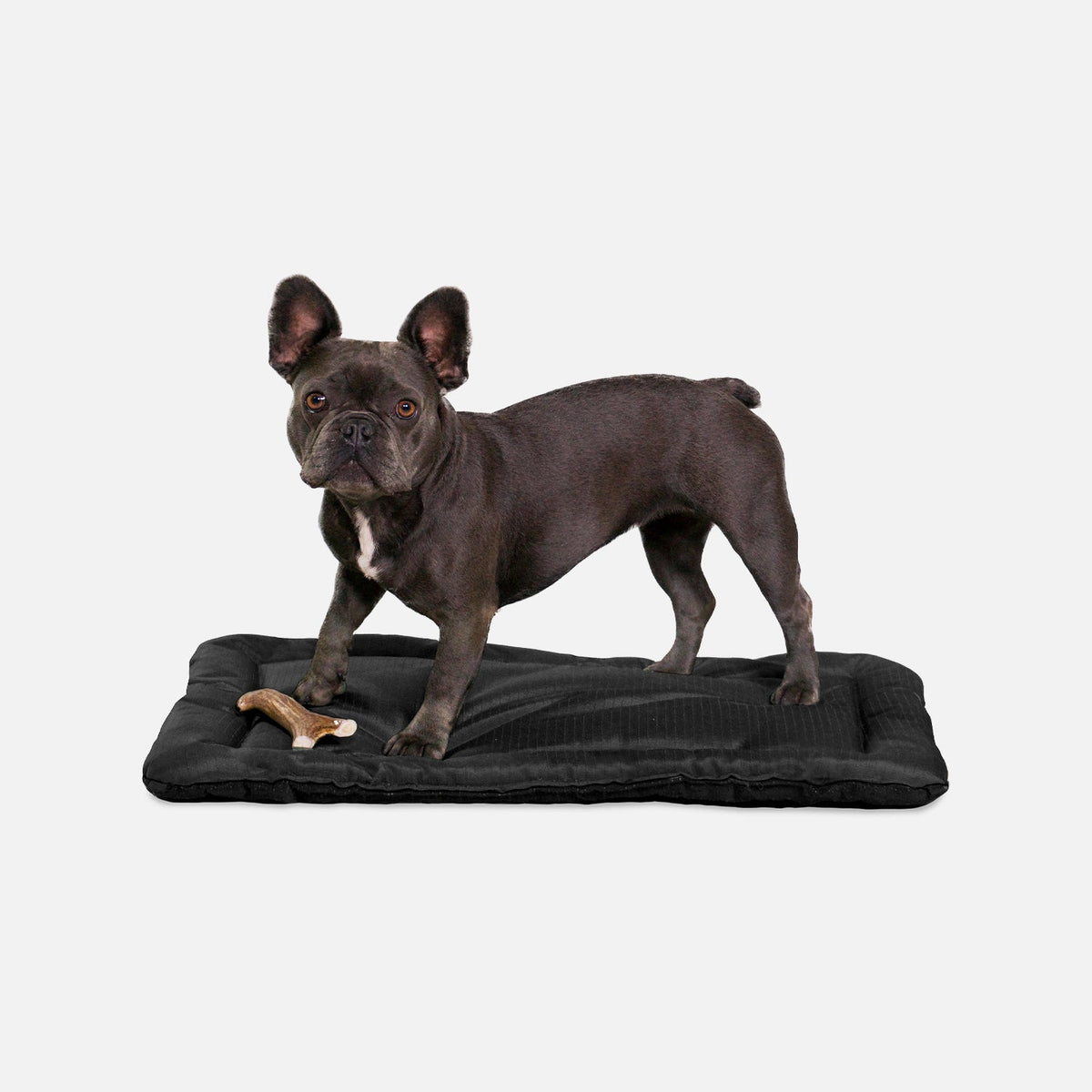 Dog Crate Mat | Heavy-Duty Ripstop Fabric, Padded Center 0