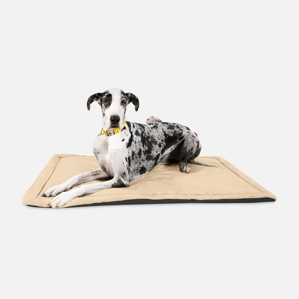 Dog Crate Mat | Heavy-Duty Ripstop Fabric, Padded Center 10