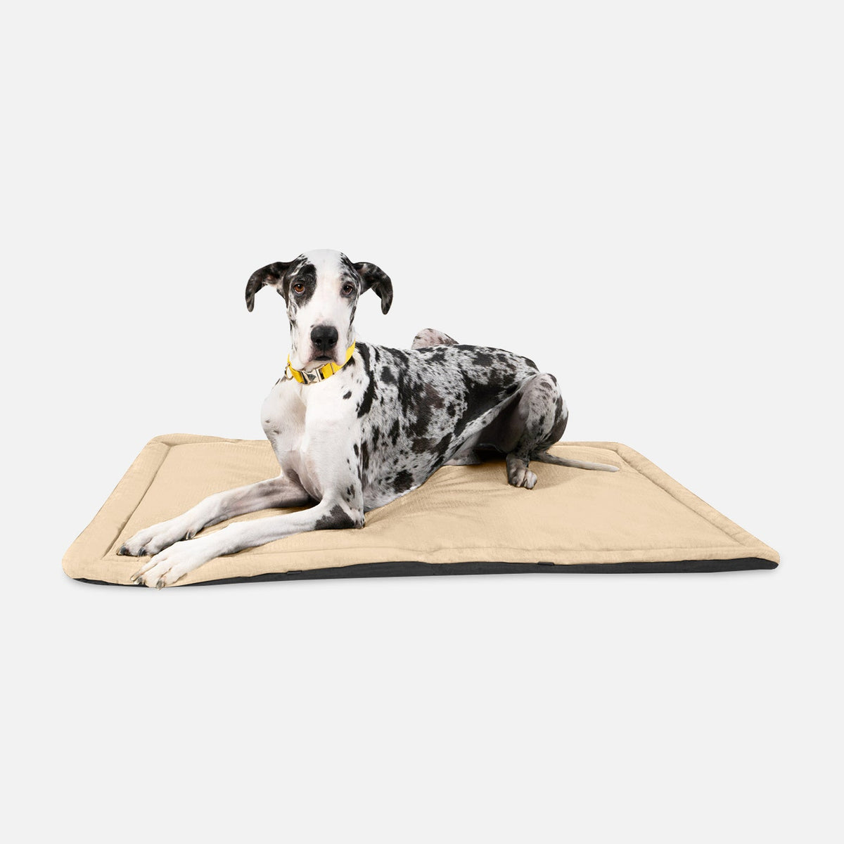 Dog Crate Mat | Heavy-Duty Ripstop Fabric, Padded Center 10