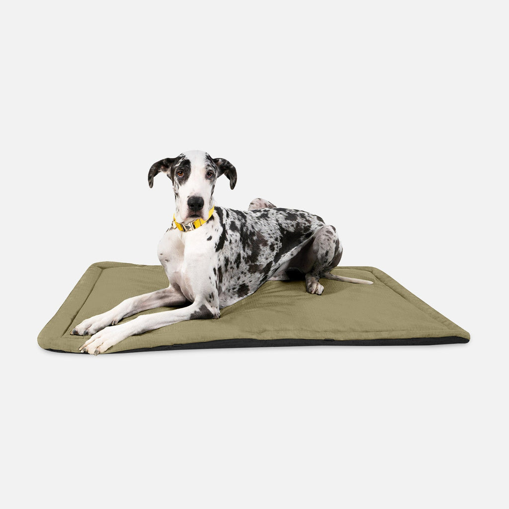 Dog Crate Mat | Heavy-Duty Ripstop Fabric, Padded Center 19