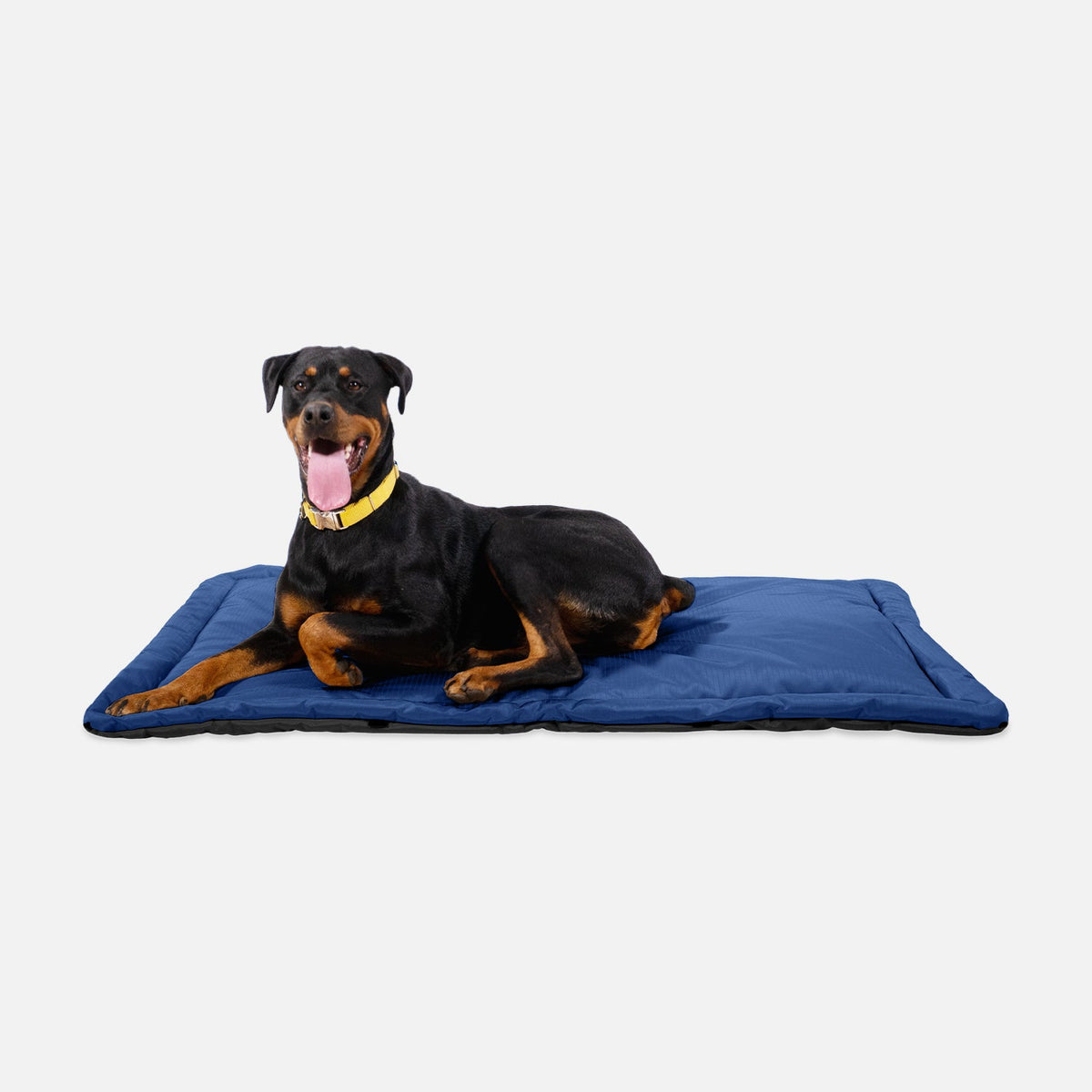 Dog Crate Mat | Heavy-Duty Ripstop Fabric, Padded Center 20