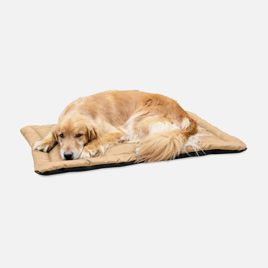 Dog Crate Mat | Heavy-Duty Ripstop Fabric, Padded Center 22