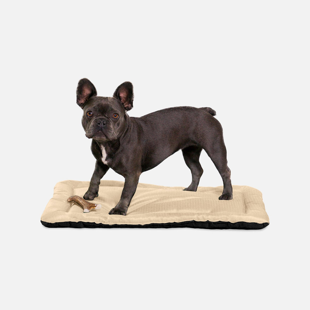 Dog Crate Mat | Heavy-Duty Ripstop Fabric, Padded Center 23