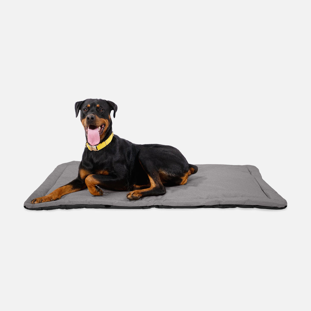 Dog Crate Mat | Heavy-Duty Ripstop Fabric, Padded Center 24