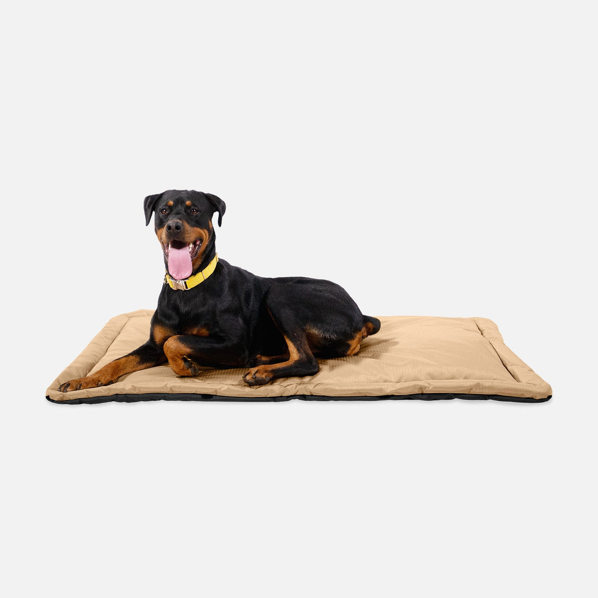 Dog Crate Mat | Heavy-Duty Ripstop Fabric, Padded Center 25