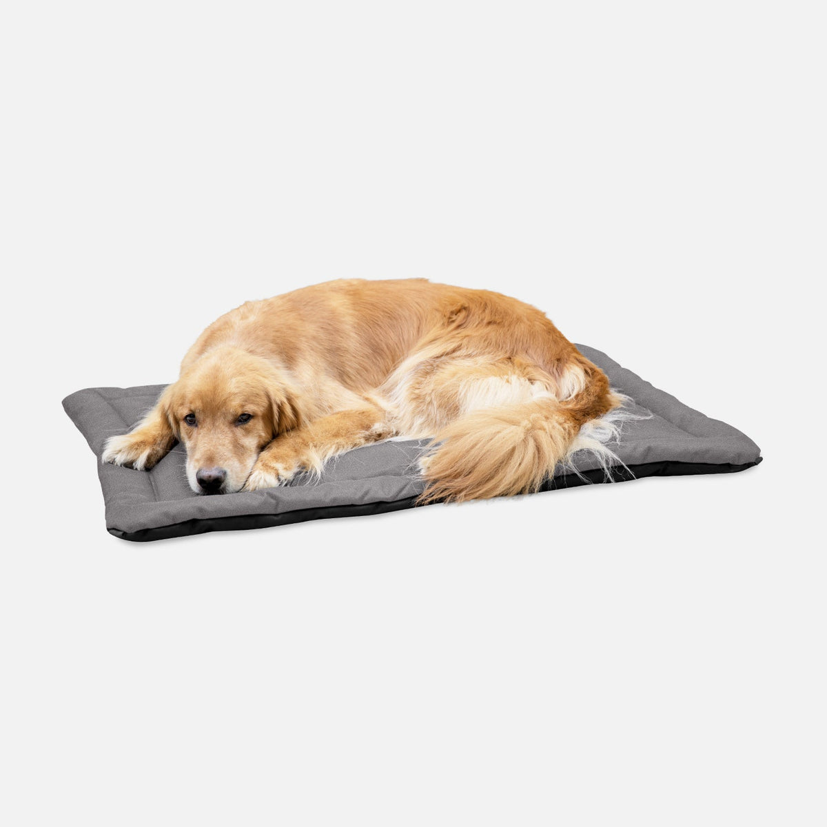 Dog Crate Mat | Heavy-Duty Ripstop Fabric, Padded Center 26