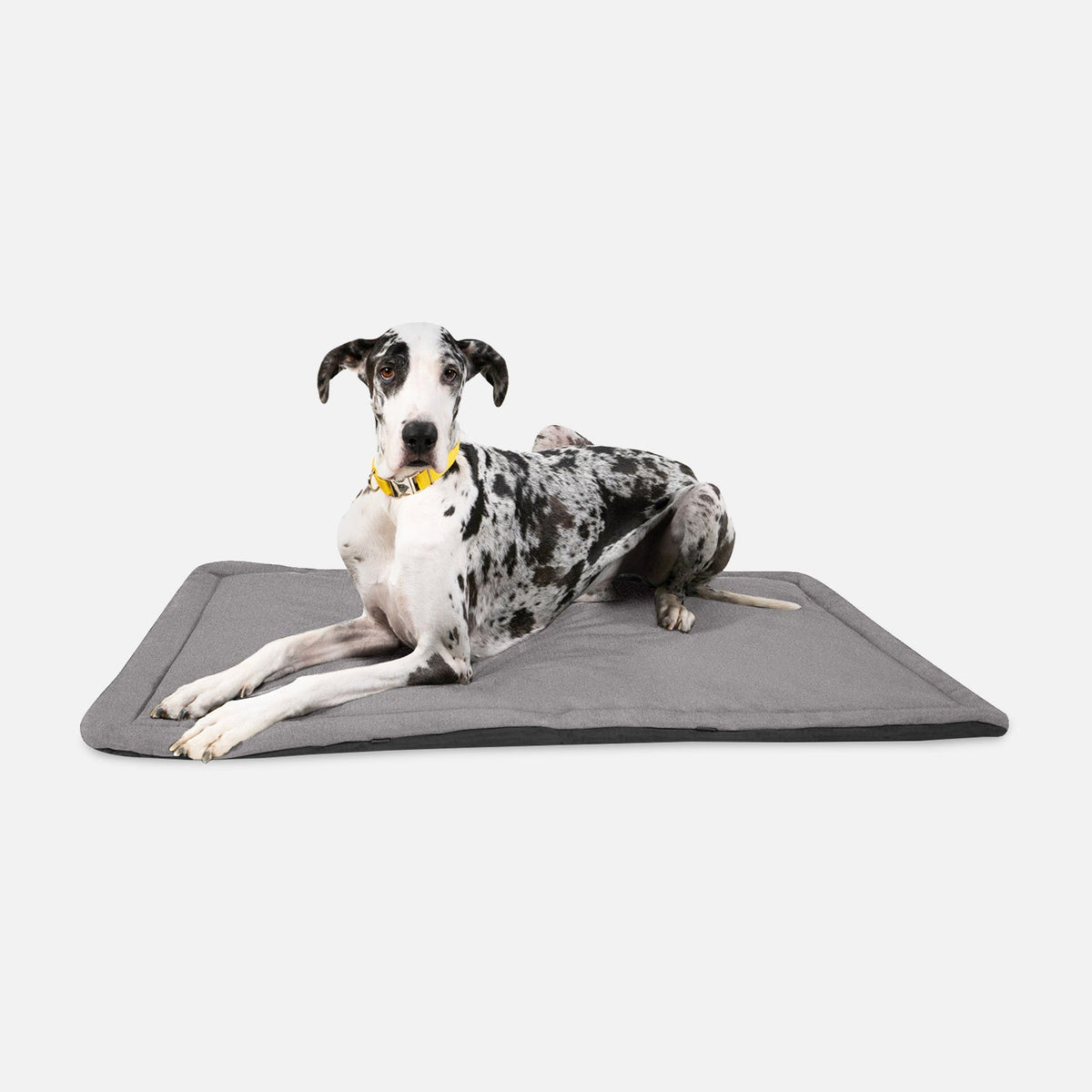 Dog Crate Mat | Heavy-Duty Ripstop Fabric, Padded Center 27