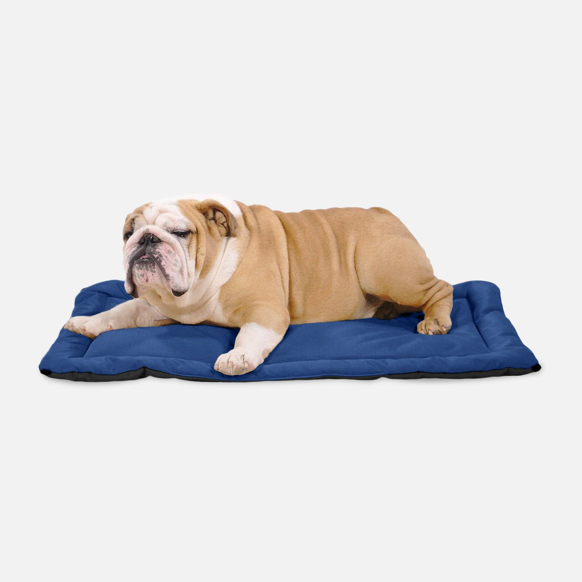 Dog Crate Mat | Heavy-Duty Ripstop Fabric, Padded Center 29