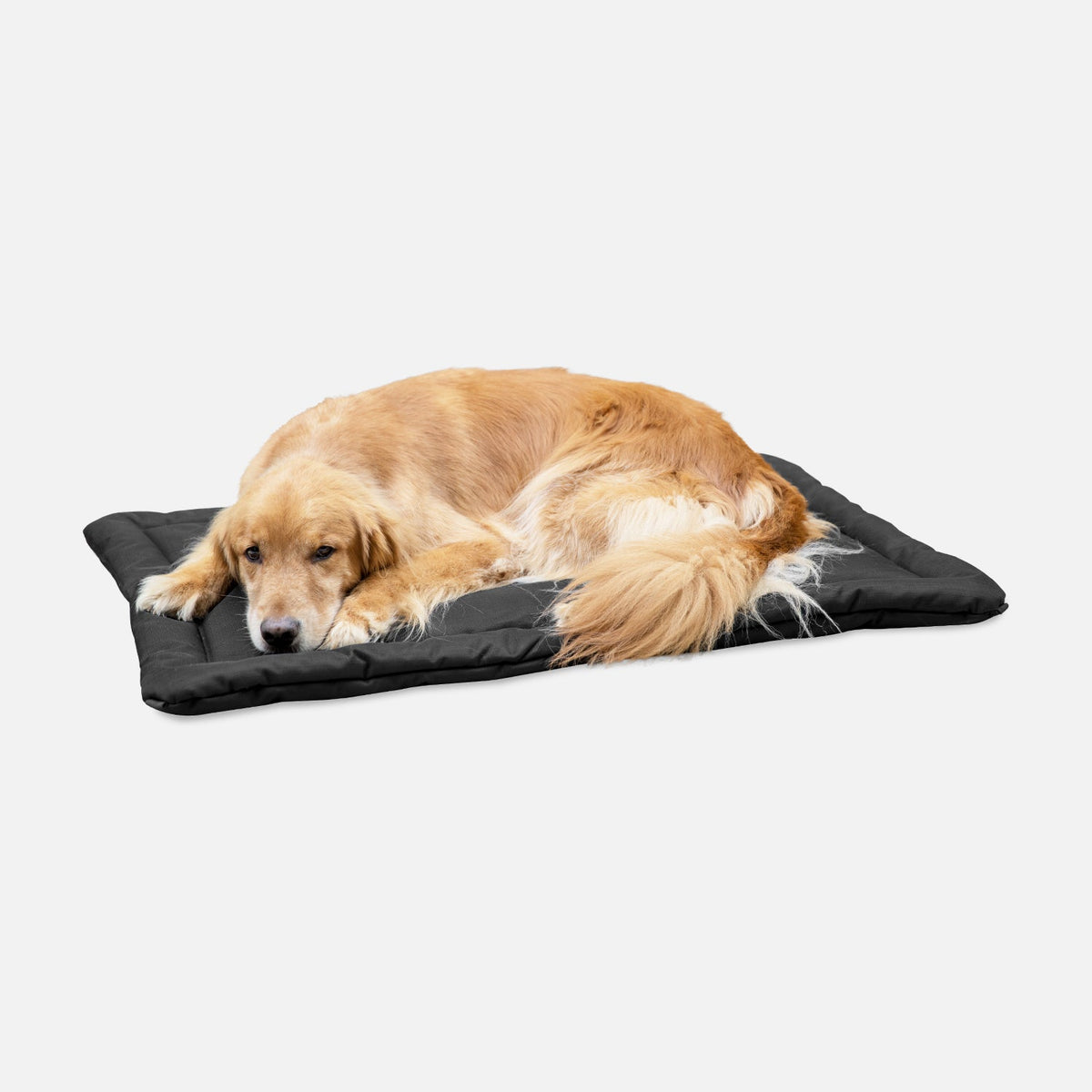 Dog Crate Mat | Heavy-Duty Ripstop Fabric, Padded Center 4