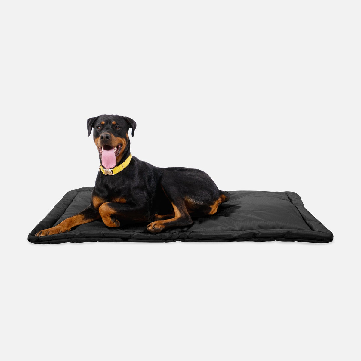 Dog Crate Mat | Heavy-Duty Ripstop Fabric, Padded Center 5