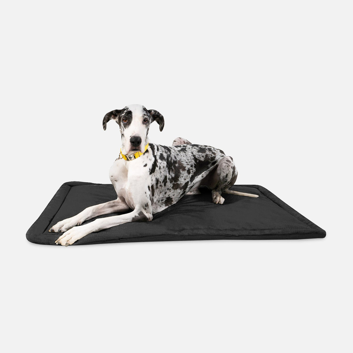 Dog Crate Mat | Heavy-Duty Ripstop Fabric, Padded Center 6