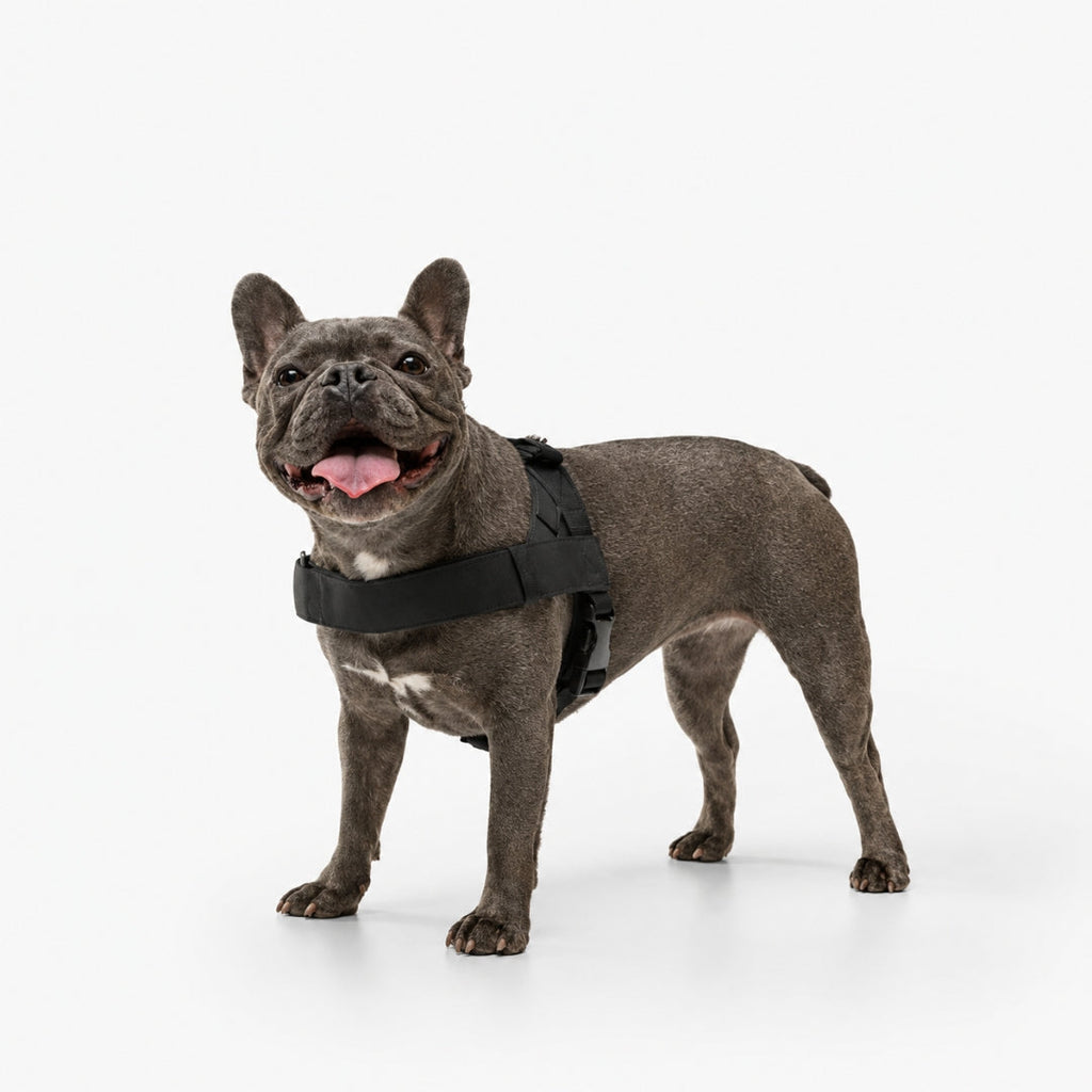Dog Harness | No-Pull Design, Adjustable Straps 4