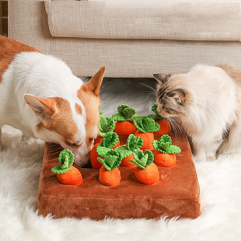 Dog Toy | Interactive Carrot Design, Removable Soil Section 0