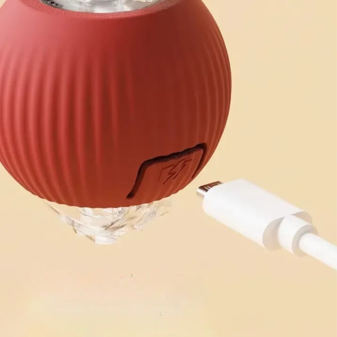 Dog Toy | Rolling Ball with Tail, Interactive Design 3