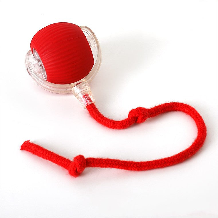 Dog Toy | Rolling Ball with Tail, Interactive Design 5