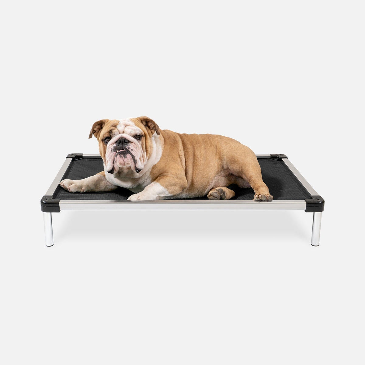 Elevated Dog Bed | Aluminum Frame, Ripstop Ballistic Fabric 1