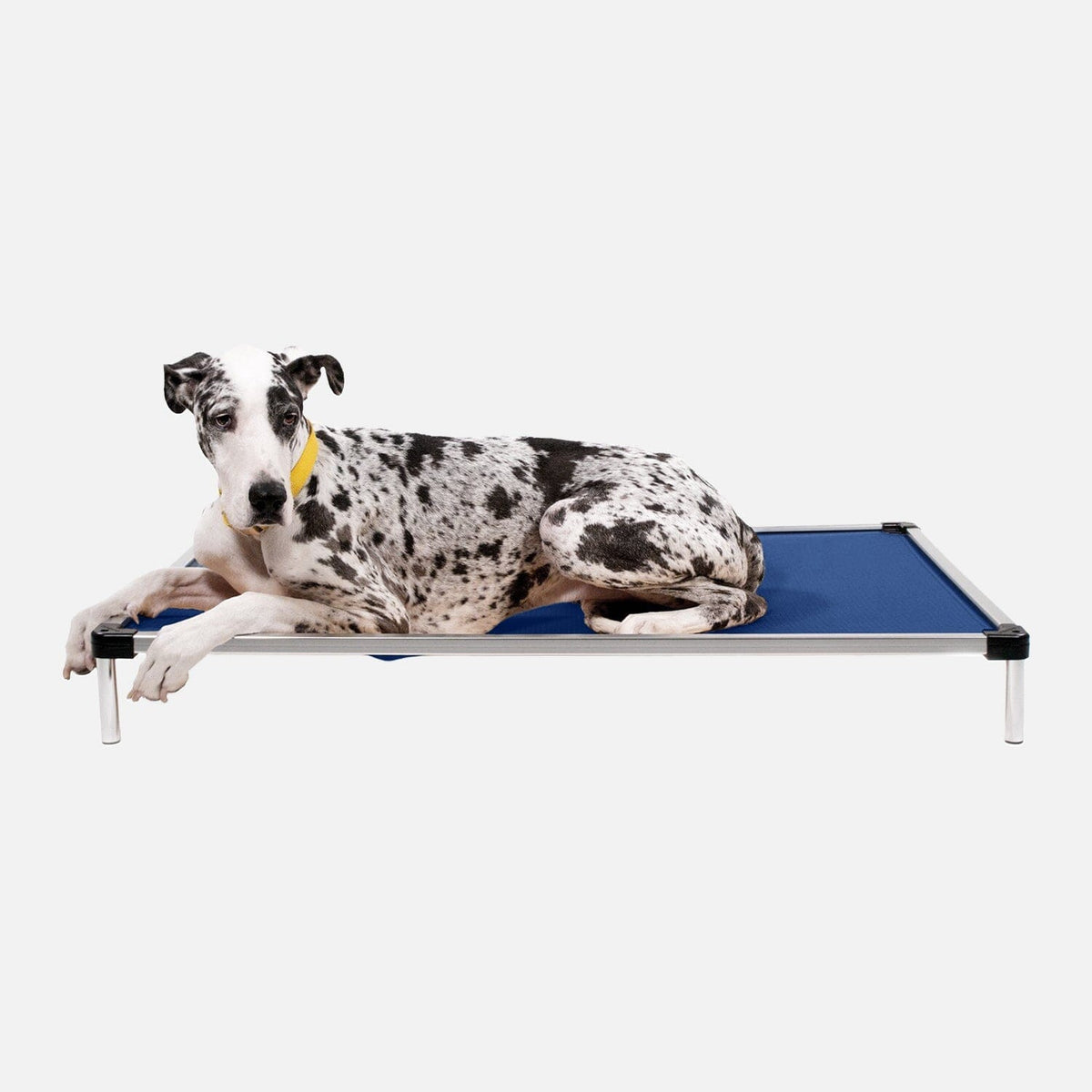 Elevated Dog Bed | Aluminum Frame, Ripstop Ballistic Fabric 11