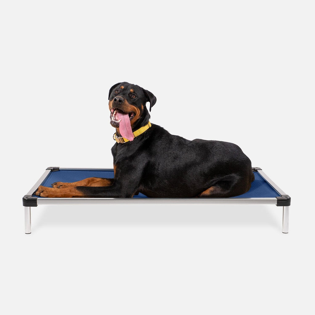 Elevated Dog Bed | Aluminum Frame, Ripstop Ballistic Fabric 12