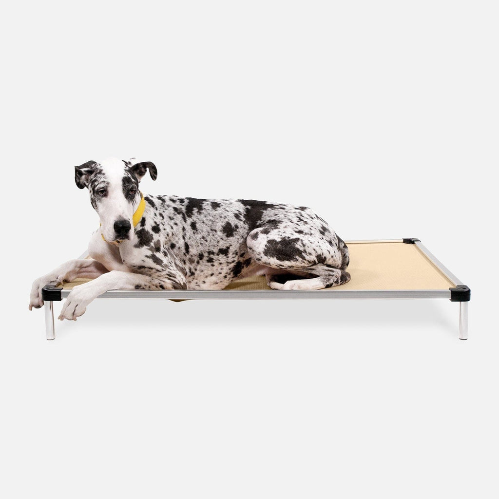 Elevated Dog Bed | Aluminum Frame, Ripstop Ballistic Fabric 14