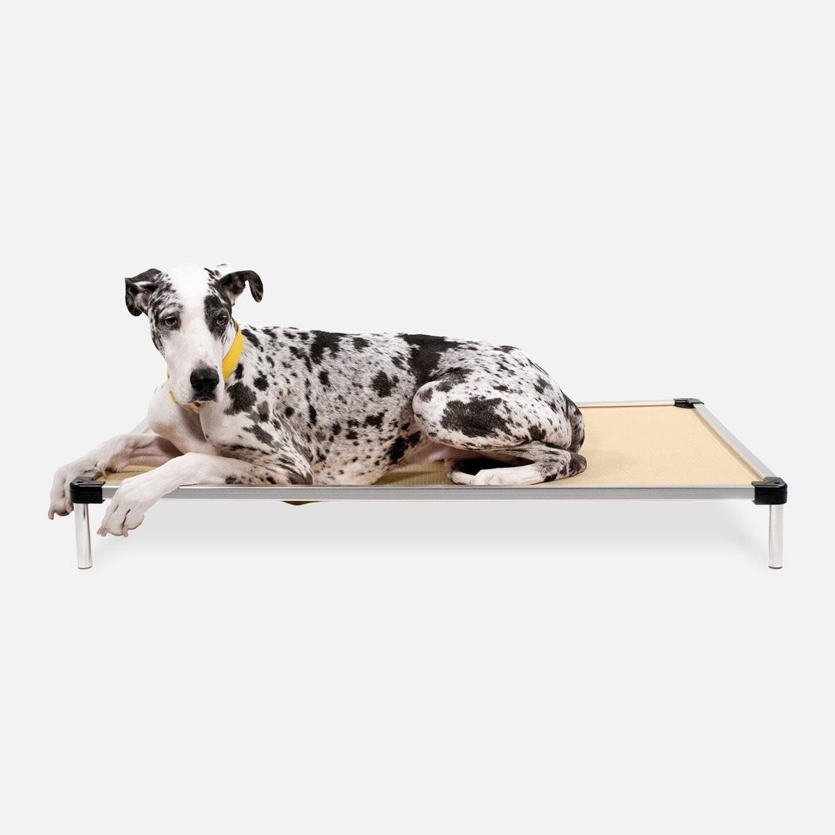 Elevated Dog Bed | Aluminum Frame, Ripstop Ballistic Fabric 14