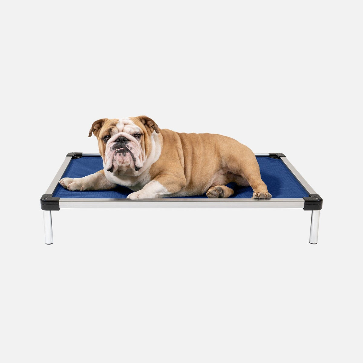 Elevated Dog Bed | Aluminum Frame, Ripstop Ballistic Fabric 17