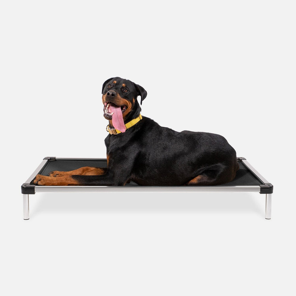 Elevated Dog Bed | Aluminum Frame, Ripstop Ballistic Fabric 3